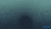 Fitness Health GIF by RENPHO