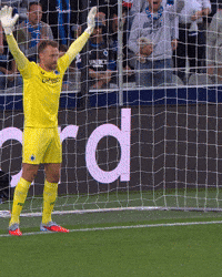 Football Soccer GIF by Club Brugge