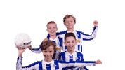 Scherpenzeel Blauwwit Sticker by De Mediatuin