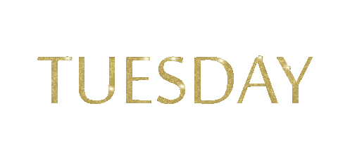 Sparkling Days Of The Week Sticker by Embellished Truth