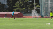 selecao brasileira marcelo GIF by Confederação Brasileira de Futebol