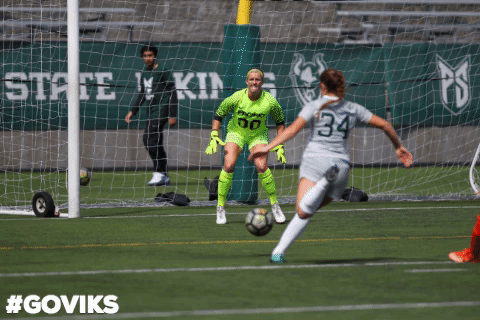 goviks portlandstate GIF