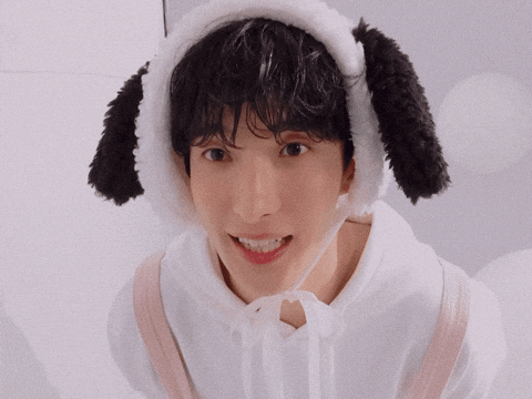 Dk 세븐틴 GIF