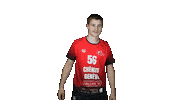 Chenois Sticker by CS Chênois Genève Handball