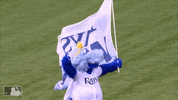 flag mascot GIF by MLB