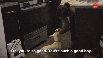 Goblin Voice With My Dog