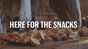 GIF by Budweiser