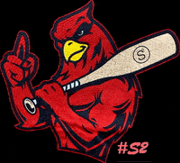 S2Faction s2 go birds dominate s2faction GIF