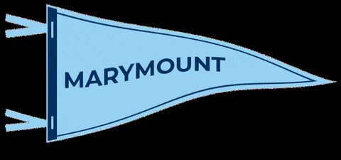 Homecoming Go Lions GIF by Marymount School of New York