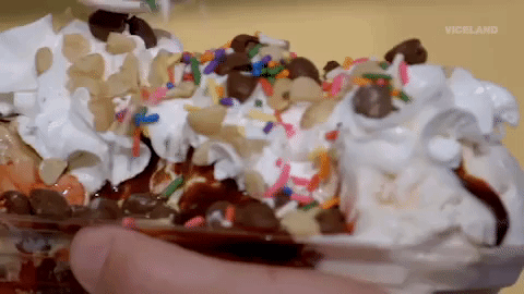 viceland GIF by THE ICE CREAM SHOW