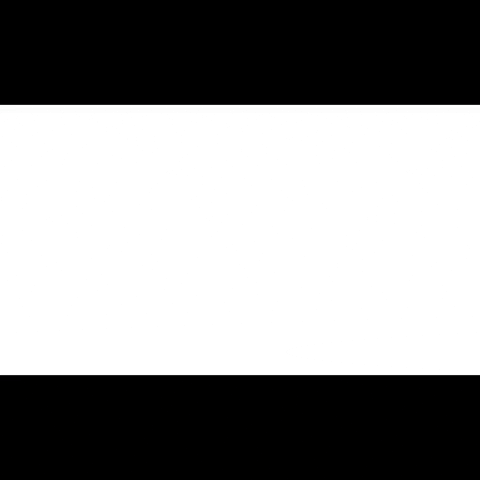 andamiosasa logo asa asla GIF
