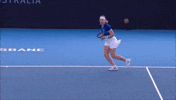 Blinkova GIF