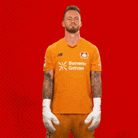 Bayer 04 Bundesliga GIF by Bayer 04 Leverkusen