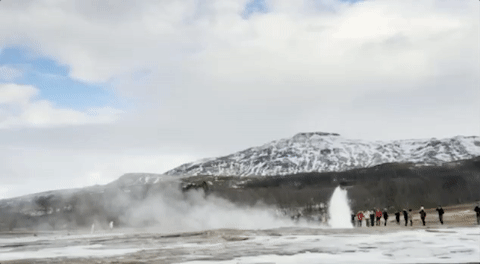 viceland GIF by Dead Set on Life