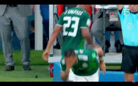 copa del mundo rusia 2018 GIF by MiSelecciónMX
