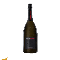 contadicastaldi cheers bubble toast ducati Sticker