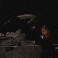 steve buscemi fargo GIF by Maudit