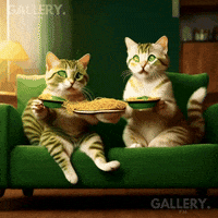 Dance Cat GIF by Gallery.fm