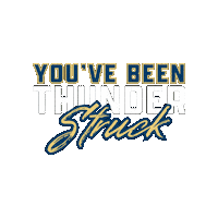 Trinethunder Sticker by Trine University
