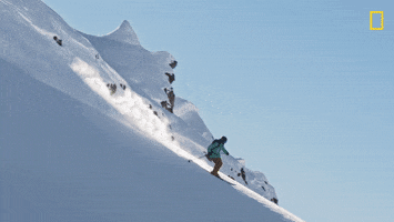 Nat Geo Sport GIF by National Geographic Channel