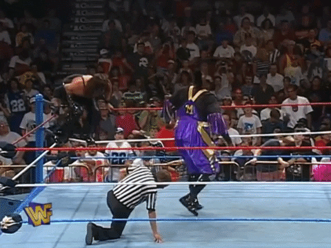 Summerslam 1995 Wrestling GIF by WWE