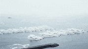 exercise GIF