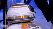 bb 8 ball droid GIF by Vulture.com