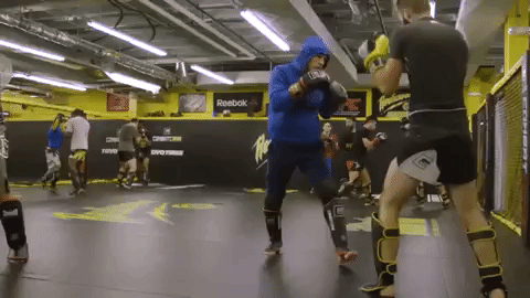 ufc 206 GIF
