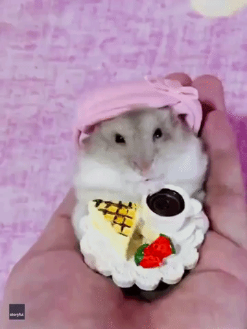 Sophisticated Hamster Enjoys Afternoon Tea