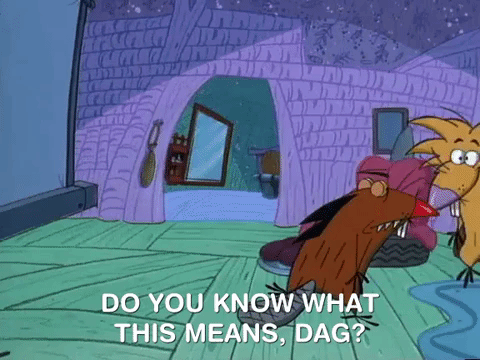 nickrewind giphydvr nicksplat angry beavers giphyab017 GIF