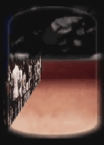 Art Animation GIF by jorgemariozuleta