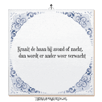 Humor Nl Sticker by Tegelspreuken.nl