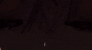 Pgr GIF