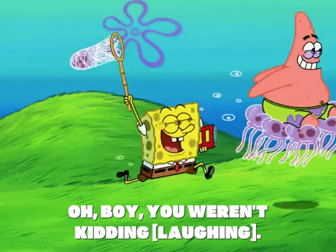 season 6 dear vikings GIF by SpongeBob SquarePants