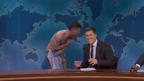 QuicklyThisWay snl bugs spiders spiderweb GIF