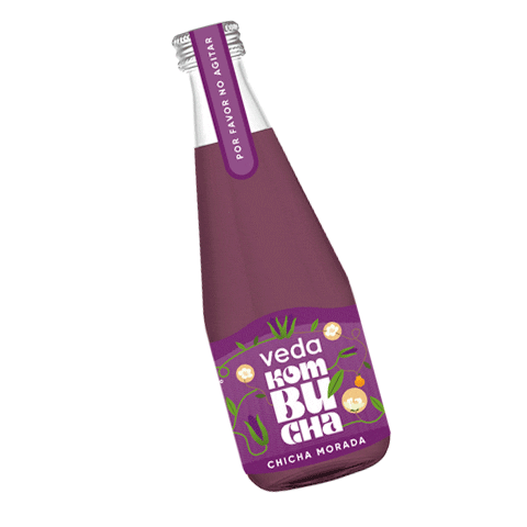 vedakombucha giphyupload kombuchadrink vedakombucha kombuchachichamorada Sticker