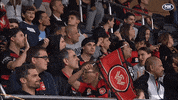 Western Sydney Wanderers Flag GIF by wswanderersfc