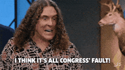 comedy bang bang politics GIF by IFC