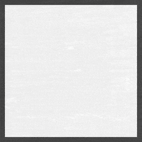 Matteo Buccitti GIF by The Team Home