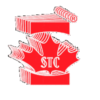 Tint Sticker by STC FILMS
