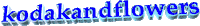 3d words kodak and flowers Sticker by AnimatedText