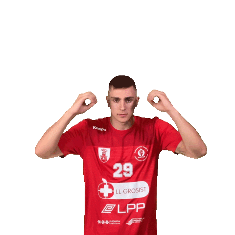 Rokomet Martinovic Sticker by RD Slovan