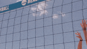 Beach Volleyball GIF by NCAA Championships