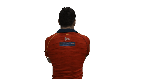 Fer Leones Sticker by FERugby