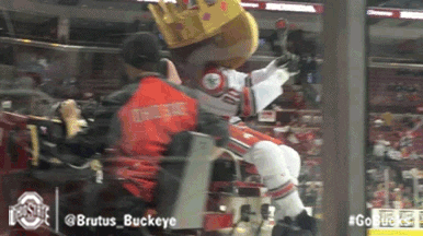 Ohio State Sport GIF by Ohio State Athletics
