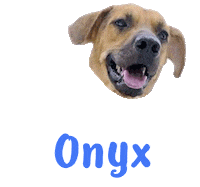 Dog Onyx Sticker