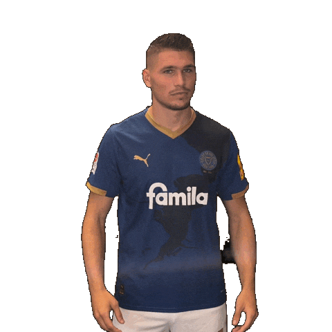 2 Bundesliga Football Sticker by Holstein Kiel