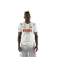 Fc Cologne Bundesliga Sticker by 1. FC Köln