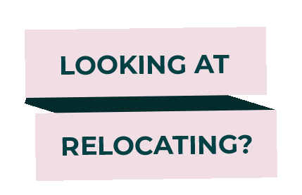collettebuttress giphyupload collettebuttress relocate rec2rec Sticker