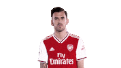 arsenal celebration celebrate spain london Sticker